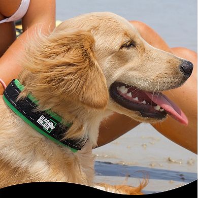 Comfort Collar Ultra Soft Neoprene Padded Dog Collar For All Breeds Heavy Duty Adjustable Reflective