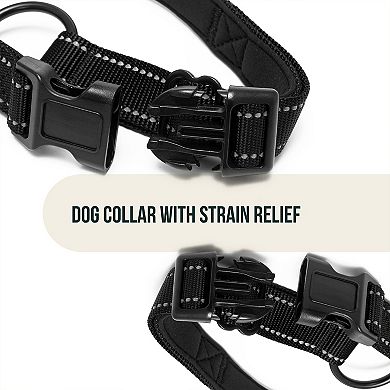 Reflective Padded Adjustable Collar with Strain Relief for Small Dogs - Buckle Closure