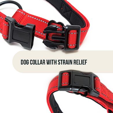 Reflective Padded Adjustable Dog Collar with Strain Relief for Small Dogs - Buckle Collar