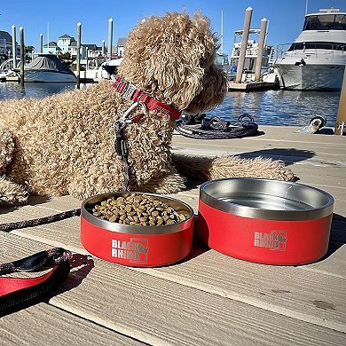 Double Insulated Stainless Steel Dog Bowls for Non Slip Feeding