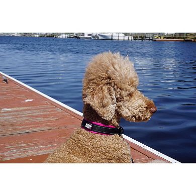 Comfort Collar Ultra Soft Neoprene Padded Dog Collar For All Breeds Heavy Duty Adjustable Reflective