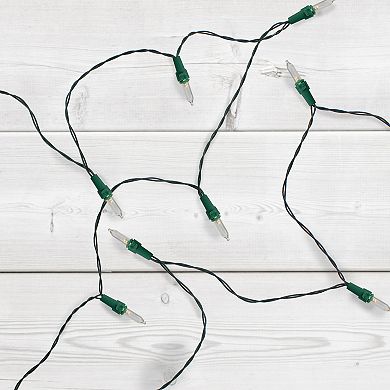 50-Count Warm White LED Mini Christmas Lights 32ft Green Wire