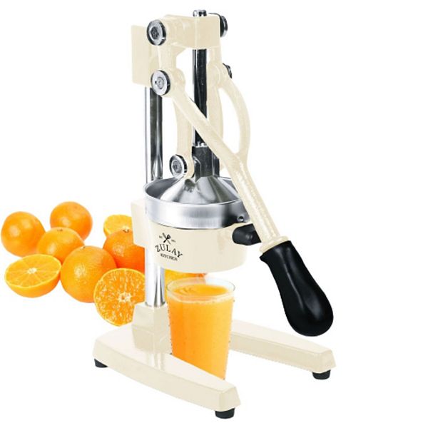 Professional Heavy Duty Citrus Juicer