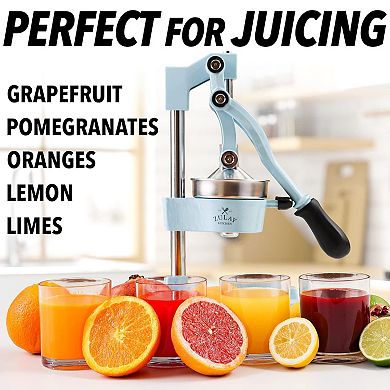 Zulay Kitchen Professional Heavy Duty Citrus Juicer