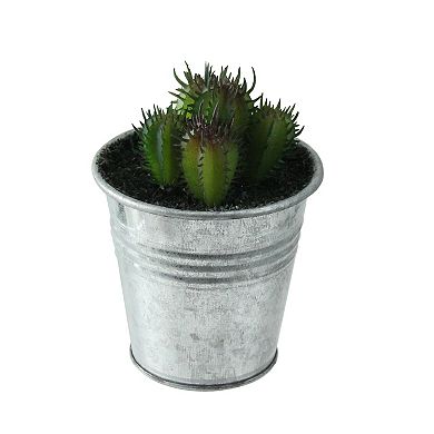 3.5" Tropical Mini Artificial Cactus in Tin Pot