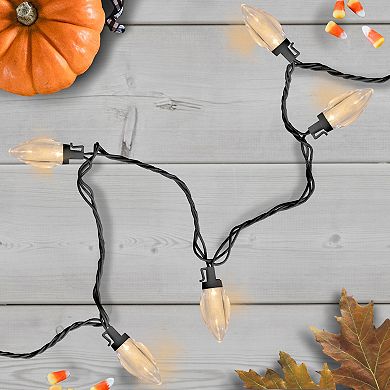 25 Count Warm White LED C9 Christmas Lights 16 ft Black Wire