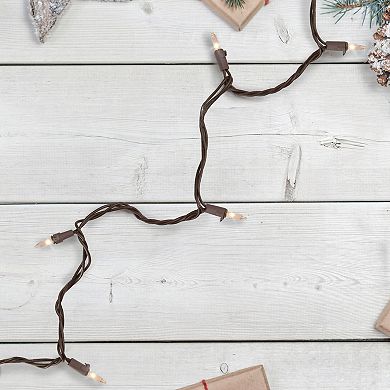 10 Count Clear Mini Christmas Light Set 5.5 ft Brown Wire
