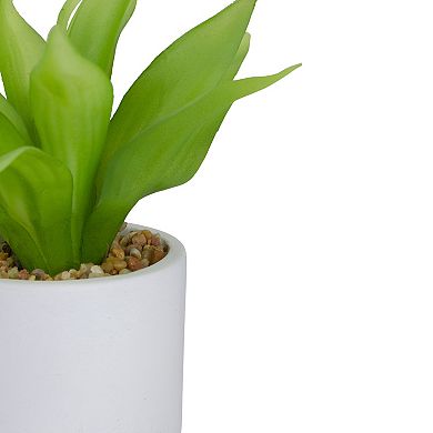 8" Green Artificial Aloe Plant in a White Pot