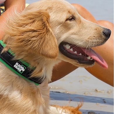 The Comfort Collar Ultra Soft Neoprene Padded Dog Collar For All Breeds - Heavy Duty Adjustable