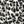 Leopard White