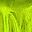 Fluorescent Green
