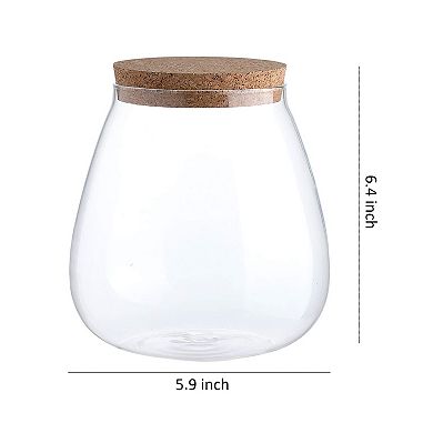 Glass Jar Storage Containers with Cork Lids