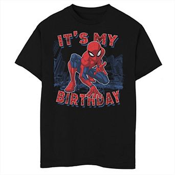 Boys Marvel Spider-Man It's My Birthday Husky Graphic Tee