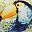 Toucan Leaf