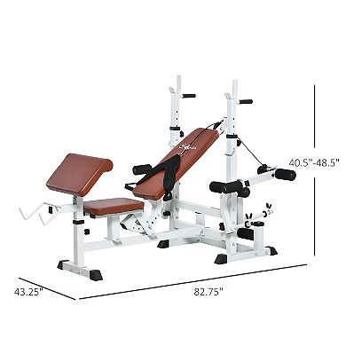 Soozier Multi-Exercise Full-Body Weight Bench with Bench Press & Leg Extension