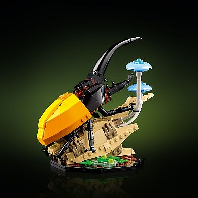 LEGO Ideas The Insect Collection Building Set