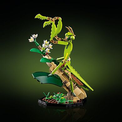 LEGO Ideas The Insect Collection Building Set