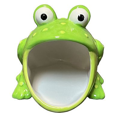 Streamline Frog Sponge Holder