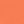 Coral Ocean