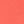 Bright Salmon