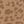 Brown Leopard