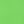 Vivid Lime