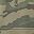 Forest Camo