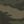 Forest Camo