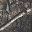 Mossy Oak Country Dna