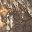 Realtree Edge