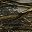 Realtree Max 7