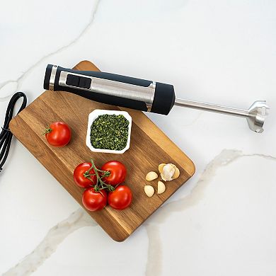 Blendtec Hand Immersion Blender