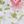 Norella Pink