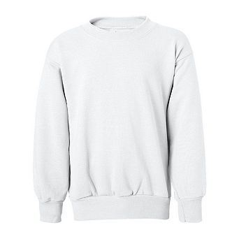 Ecosmart Youth Crewneck Sweatshirt