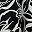 Black White Multi