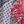 Red Blue Multi