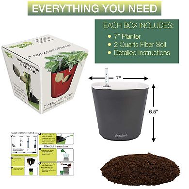 Self Watering Planter With Fiber Soil For Indoor Gardening