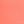 Coral Ocean