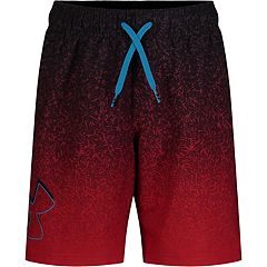 Boys 2-20 Lands' End Active Swim Trunks