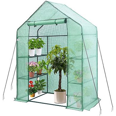 Hanience Walk-in Outdoor/Indoor Covered Plant Greenhouse with 4 Wired Shelves