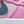 Pink Rise White