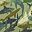 Shark Camouflage