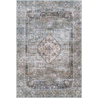 Washta Traditional Washable Area Rug