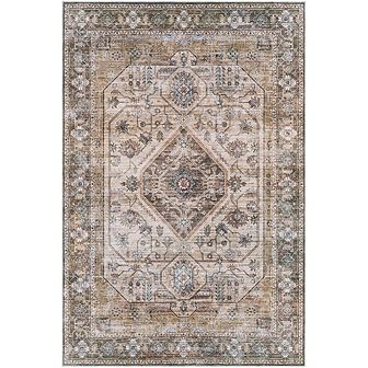 Washta Traditional Washable Area Rug