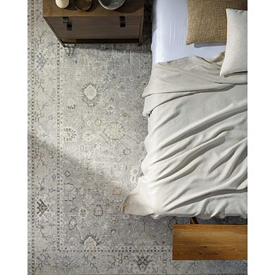 Davina Traditional Area Rug - Becki Owens X Livabliss