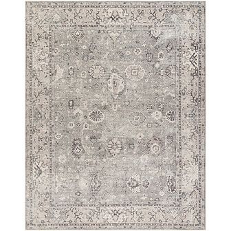 Davina Traditional Area Rug - Becki Owens X Livabliss