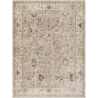 Davina Traditional Area Rug - Becki Owens X Livabliss