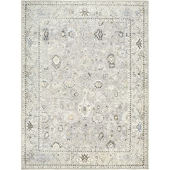 Davina Traditional Area Rug - Becki Owens X Livabliss