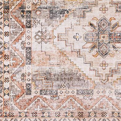 Wapello Traditional Washable Area Rug