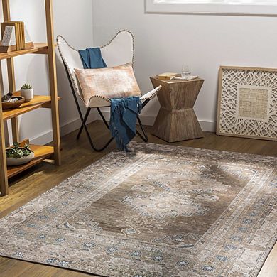 McCordsville Traditional Washable Area Rug